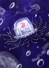 小水母的海底历险记小水母的海底历险记